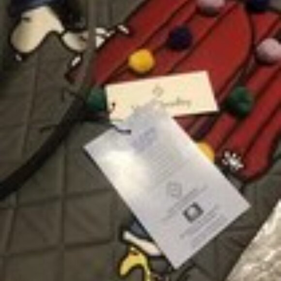 NWT 🚠⛷Vera Bradley Peanuts Collection Ski Slope Snoopy Vera Tote Bag - Picture 4 of 7